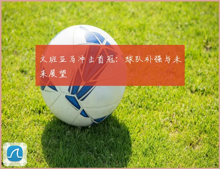 文班亚马冲击首冠：球队补强与未来展望